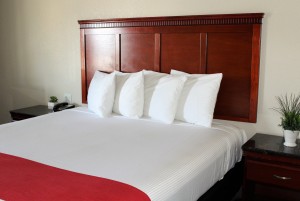 Rodeway Inn SFO Airport - Guest Room with King Bed